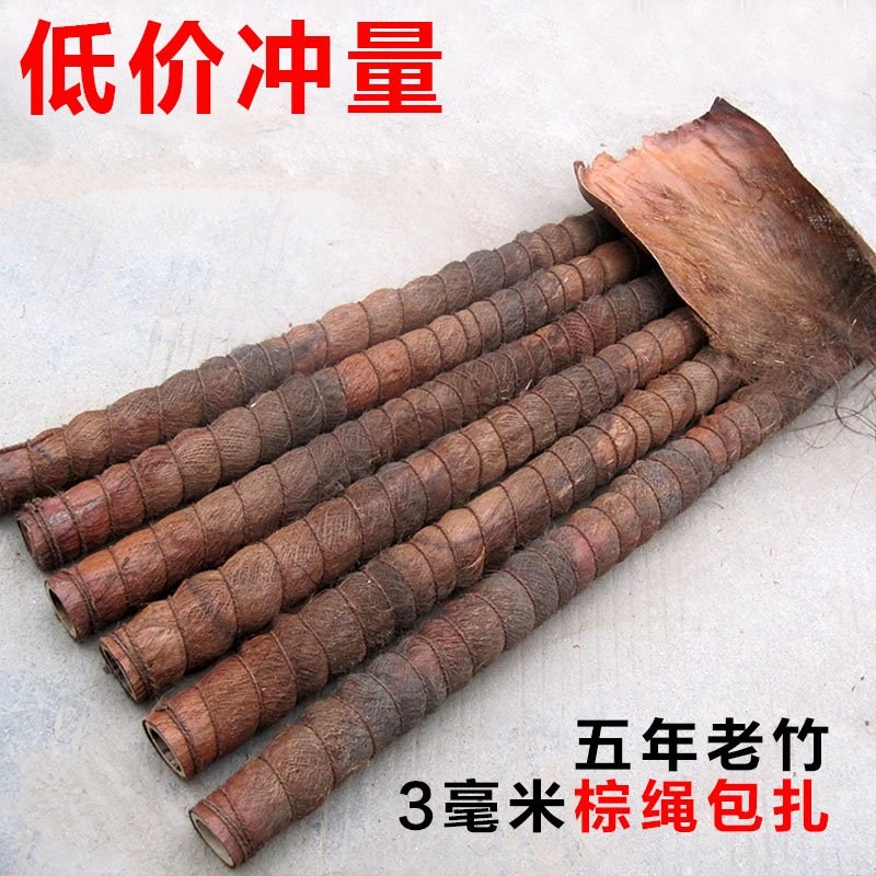 绿萝棒棕皮大型绿萝桩棕柱爬藤花架绿箩爬藤棕榈盆栽花卉耐用透气在类目 鲜花速递/花卉仿真/绿植园艺, 园艺用品, 其它园艺用品中 - 来自Buy2taobao.com提供专业的淘宝代购服务