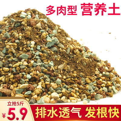 多肉植物营养土小苗肉肉叶插种植度夏土阡陌土多肉专用颗粒土包邮
