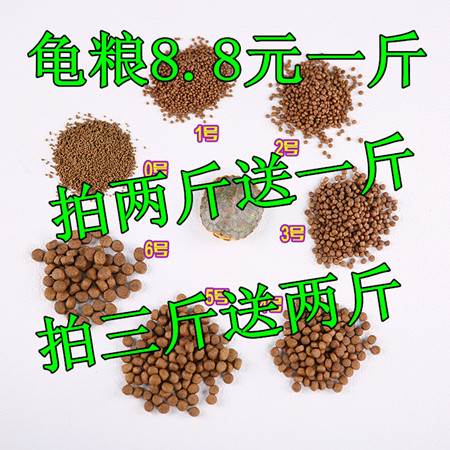 时尚好看的龟粮龟草龟鳄龟乌龟饲料虾干大中小颗粒幼龟成龟限时一在类目 宠物/宠物食品及用品, 水族世界, 观赏龟/鳖饲料中 - 来自Buy2taobao.com提供专业的淘宝代购服务