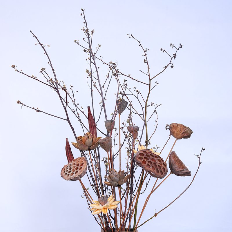 莲蓬干花莲藕荷花客厅落地套装家居落地装饰花插花客厅玄关背景墙在类目 家居饰品, 花瓶/花器/仿真花/仿真饰品, 仿真花/假花中 - 来自Buy2taobao.com提供专业的淘宝代购服务