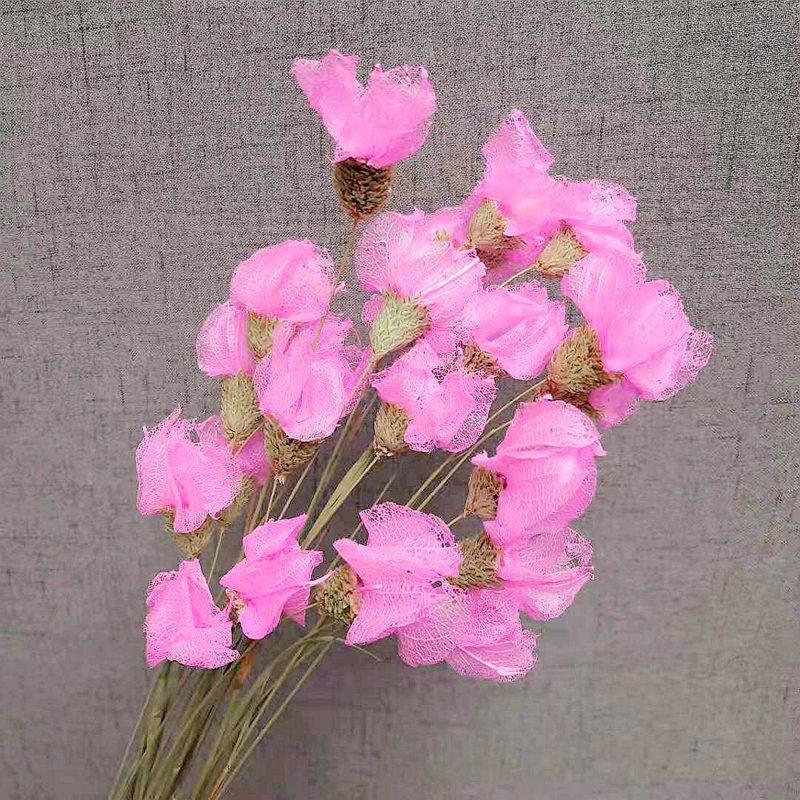 ins Net Red Pink Poinsettia Dried flowers Bouquet of flowers Home Furnishing a decoration Like a breath of fresh air Decoration decorate bedroom flower arrangementin the Flower delivery/Flowers simulation/Plants gardening , Artificial flowers/Plants/Finished fruits and vegetables (New) , Artificial flowers category - from Buy2taobao.com to provide professional Taobao agent buy service