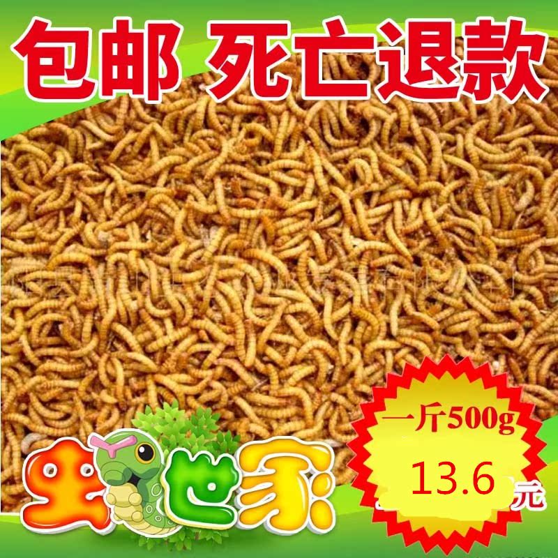 鲜活黄爬宠活虫种画眉鸟鸟饲料种百灵鸟食饲养盒鸟粮面包虫鲜活虫|ruв категории животное/Животное питание и принадлежностей, рептилии/насекомых и принадлежностей, рептилии/насекомых питание - от Buy2taobao.com для оказания профессиональной услуги покупки агента Taobao