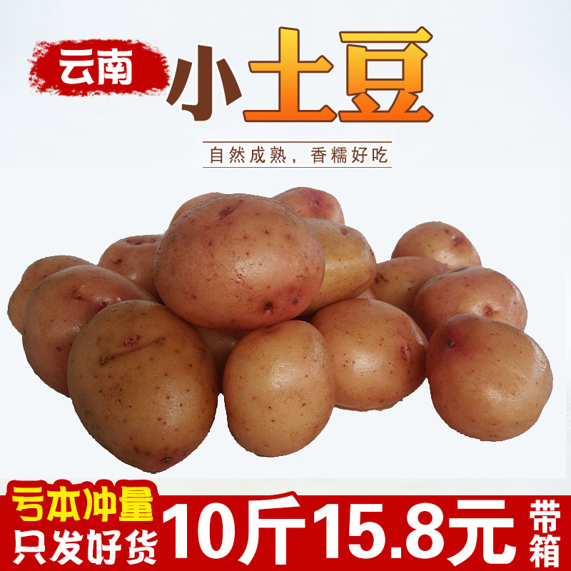 新鲜小土豆10斤 2019新鲜现挖洋芋云南红皮黄心小土豆马铃薯包邮在类目 水产肉类/新鲜蔬果/熟食, 新鲜蔬菜/蔬菜制品, 新鲜蔬菜, 土豆中 - 来自Buy2taobao.com提供专业的淘宝代购服务
