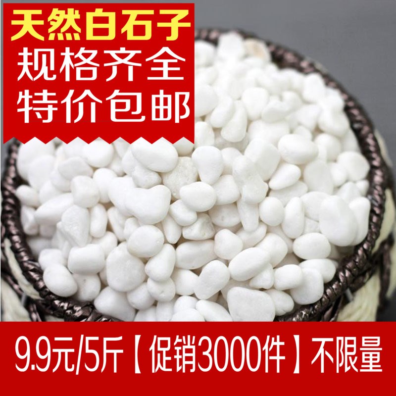 natural Snowflake Whitehead son Flower pot Gardening white Small stones courtyard balcony colour Pebblein the Flower delivery/Flowers simulation/Plants gardening , Gardening supplies , Other Garden Supplies category - from Buy2taobao.com to provide professional Taobao agent buy service