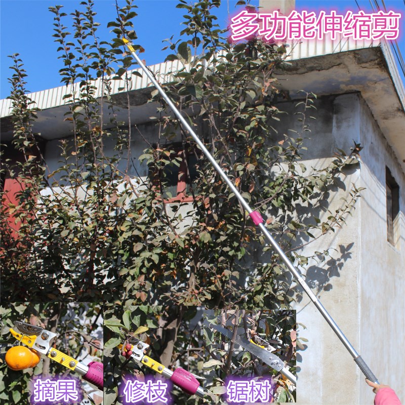 New products Lopper Picking Telescopic aerial scissors Fruit picking device Asperata scissors Pruning scissors Saw altitudein the Hardware/Tool , Hand Tools , Scissors , Gardening shears category - from Buy2taobao.com to provide professional Taobao agent buy service