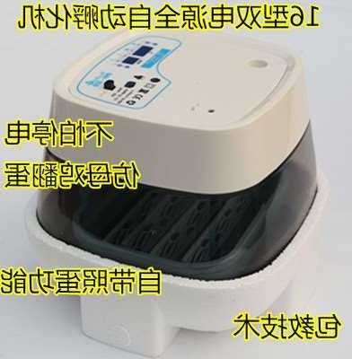 small-scale chick chick Machine household Incubators Machine Incubators chickin the Hardware/Tool , Instrumentation , Electric Tools category - from Buy2taobao.com to provide professional Taobao agent buy service