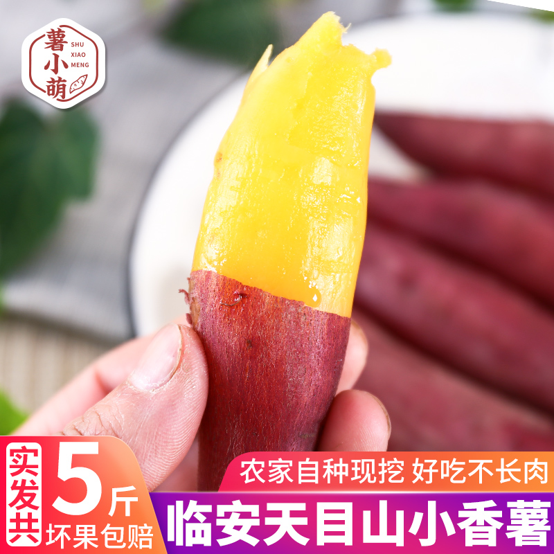 fresh Linan Mount Small sweet potato Farm Chinese chestnut sweet potato Farm Sweet potato Sweet potato Potatoin the Aquatic meat/Fresh fruits and vegetables/Cooked , Fresh vegetables/Vegetable products , Fresh vegetables , Sweet potato category - from Buy2taobao.com to provide professional Taobao agent buy service
