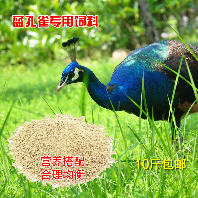 蓝孔雀粮食 孔雀饲料 观赏孔雀粮食 孔雀专用粮500克装 10斤包邮|ruв категории животное/Животное питание и принадлежностей, птиц и принадлежностей, птица - от Buy2taobao.com для оказания профессиональной услуги покупки агента Taobao