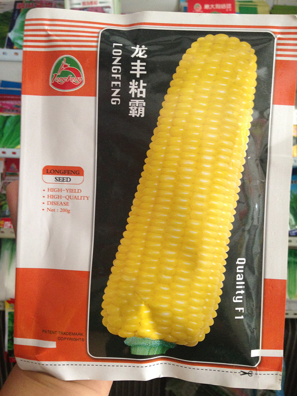 佳木斯龙丰种子 黏粘玉米种子绿丰甜糯米粘霸 粘豆包专用200克在类目 鲜花速递/花卉仿真/绿植园艺, 花卉/蔬果/草坪种子(新), 家庭园艺种子中 - 来自Buy2taobao.com提供专业的淘宝代购服务