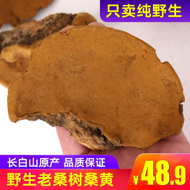 朝鲜桑黄桑树桑黄菌500g野生同仁特级堂桑黄茶桑黄灵芝长白山包邮|msdalam kategori makanan berkhasiat tradisional, Ganoderma, Pemangkasan Ganoderma lucidum - dari Buy2taobao.com untuk memberikan perkhidmatan ejen Taobao profesional membeli