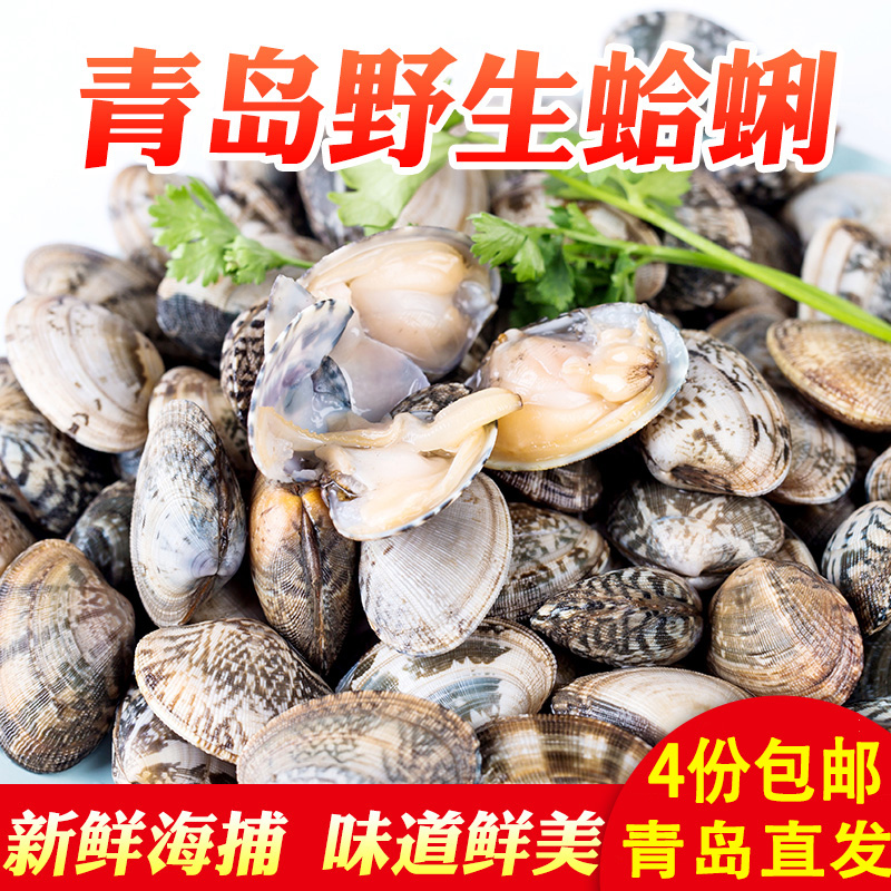 青岛马姐水产红岛鲜活蛤蜊野生花甲贝壳类海鲜新鲜杂色大蛤蜊无沙在类目 水产肉类/新鲜蔬果/熟食, 海鲜/水产品/制品, 贝类, 贝类制品中 - 来自Buy2taobao.com提供专业的淘宝代购服务