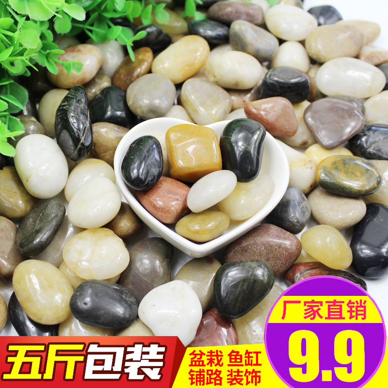 Pebble natural Stone rough Potted plant Paved fish tank Landscaping decorate Pebbles Multicolored gardening stonein the Flower delivery/Flowers simulation/Plants gardening , Gardening supplies , Other Garden Supplies category - from Buy2taobao.com to provide professional Taobao agent buy service