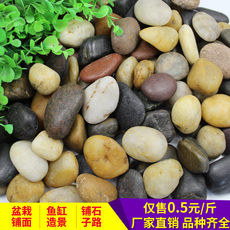 鹅卵石石头铺路小石子天然雨花石原石庭院花园鱼缸大鹅软石鹅暖石在类目 鲜花速递/花卉仿真/绿植园艺, 园艺用品, 其它园艺用品中 - 来自Buy2taobao.com提供专业的淘宝代购服务