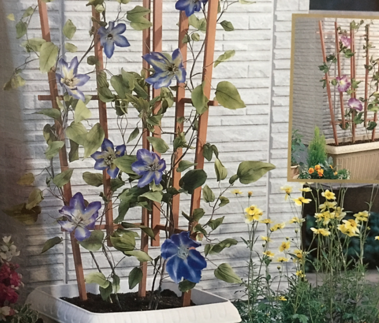 實木花架 支架 藤蔓爬藤架 牽引架 公園花插 180度自由固定花架在類目 鮮花速遞/花卉仿真/綠植園藝, 園藝用品, 其它園藝用品中 - 來自Buy2taobao.com提供專業的淘寶代購服務