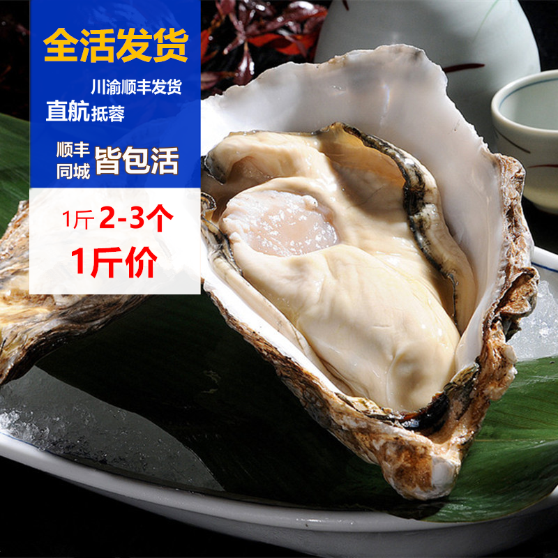 成都海鲜配送 新鲜鲜活生蚝 鲜活牡蛎 野生带壳生蚝 每斤约2-3只在类目 水产肉类/新鲜蔬果/熟食, 海鲜/水产品/制品, 贝类, 贝类制品中 - 来自Buy2taobao.com提供专业的淘宝代购服务