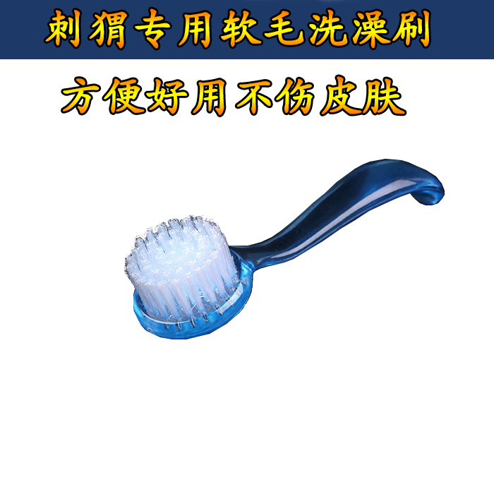 人氣刷子非洲迷妳刺猬洗澡專用洗澡刷子 洗澡軟毛刷子 不傷皮膚在類目 寵物/寵物食品及用品, 其它寵物, 其它寵物中 - 來自Buy2taobao.com提供專業的淘寶代購服務