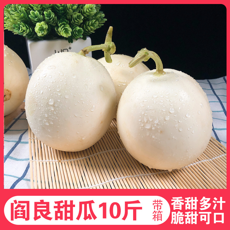 孕妇水果阎良甜瓜陕西现摘现发带箱10斤包邮批发新鲜香瓜整箱中大在类目 水产肉类/新鲜蔬果/熟食, 新鲜水果, 甜瓜中 - 来自Buy2taobao.com提供专业的淘宝代购服务