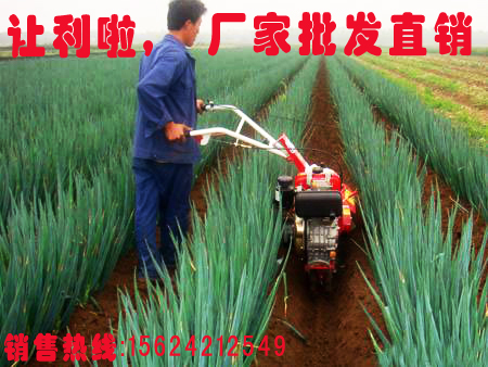 多功能开沟培土起垄机:大葱生姜草莓土豆百合魔芋太子参大棚园林在类目 农机/农具/农膜, 农业机械, 耕种机械中 - 来自Buy2taobao.com提供专业的淘宝代购服务