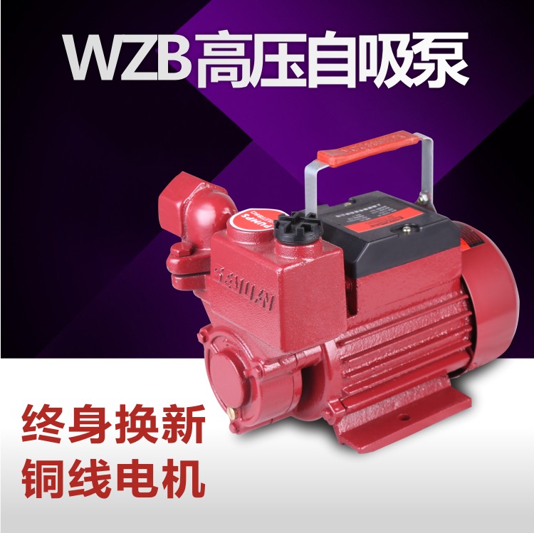 370w550W750W家用自吸泵自来水管道增压泵水井抽水泵太阳能上水泵在类目 五金/工具, 机电五金, 泵, 水泵中 - 来自Buy2taobao.com提供专业的淘宝代购服务
