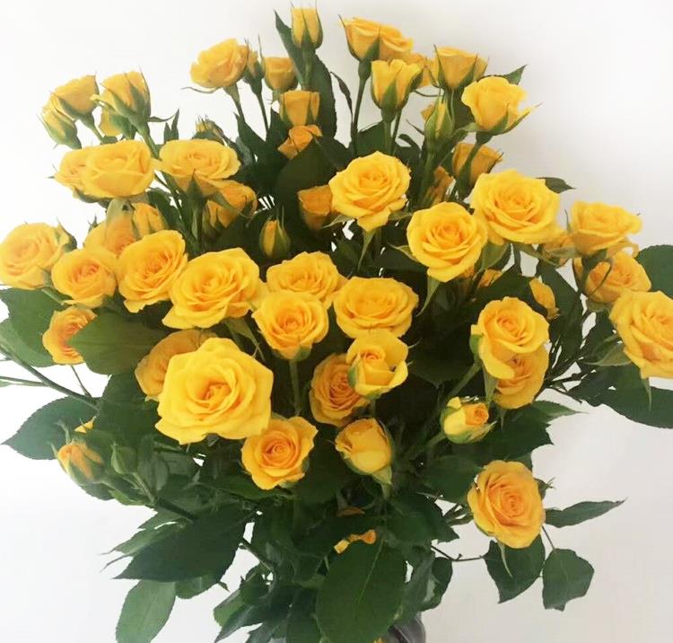 Long rose Yunnan flower Base Straight hair household Wedding celebration to work in an office flower arrangement Aviation Fresh keepingin the Flower delivery/Flowers simulation/Plants gardening , Flower delivery(City) category - from Buy2taobao.com to provide professional Taobao agent buy service