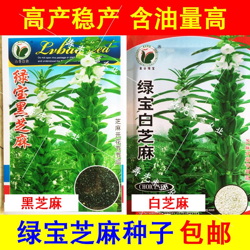 御农黑芝麻种子白芝麻种子庭院菜园易种阳台种菜五谷杂粮蔬菜种子在类目 办公设备/耗材/相关服务, 包装设备/标牌及耗材, 包裹袋/编织袋中 - 来自Buy2taobao.com提供专业的淘宝代购服务