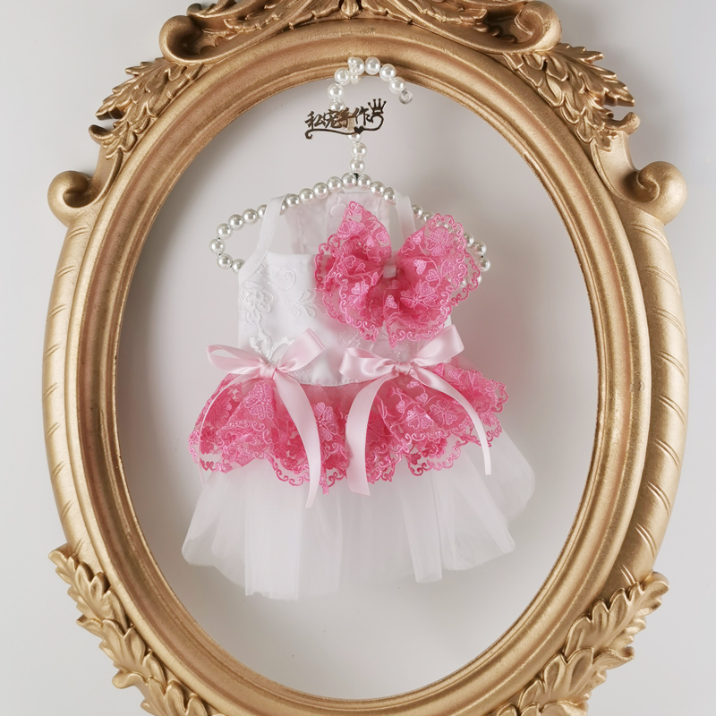 西瓜红蕾丝高腰宠物连衣裙 猫狗衣服 狗狗裙子 宠物裙子|ruв категории животное/Животное питание и принадлежностей, одежды и аксессуаров для домашних животных, домашний костюм/плащ - от Buy2taobao.com для оказания профессиональной услуги покупки агента Taobao