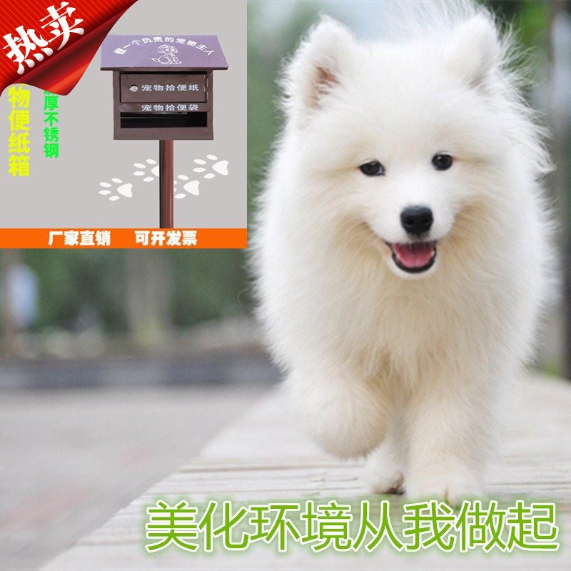 宠物便便箱拾便箱宣传栏不锈钢宠物箱旗杆指示牌小区拾便箱宠物箱在类目 宠物/宠物食品及用品, 猫/狗日用品, 航空箱中 - 来自Buy2taobao.com提供专业的淘宝代购服务