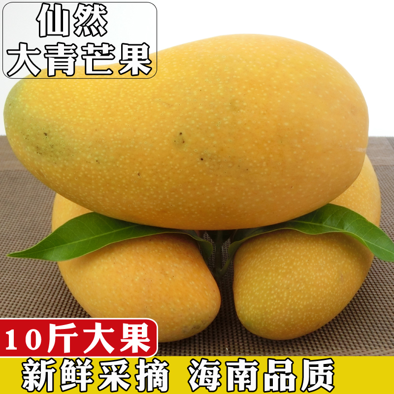 10斤裝包郵海南三亞芒果新鮮水果水仙芒大青芒金煌芒大芒在類目 水產肉類/新鮮蔬果/熟食, 新鮮水果, 芒果中 - 來自Buy2taobao.com提供專業的淘寶代購服務