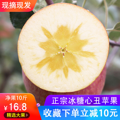 正宗云南昭通冰糖心丑苹果新鲜水果野苹果当季现摘10斤大批发包邮