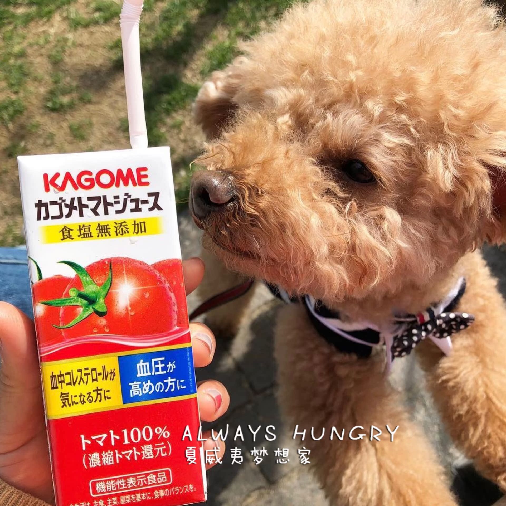 日本可果美kagome野菜生活100番茄味果蔬汁1食分200ml在類目 咖啡/麥片/衝飲, 飲料, 果蔬汁, 純果蔬汁中 - 來自Buy2taobao.com提供專業的淘寶代購服務