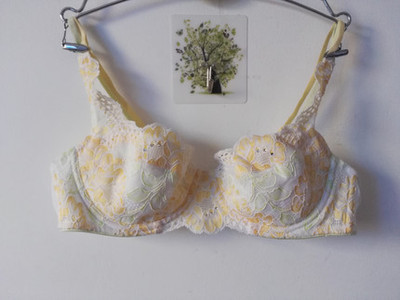 特惠专柜正品安莉芳3/4薄杯蕾丝款聚拢文胸 EB0793断码