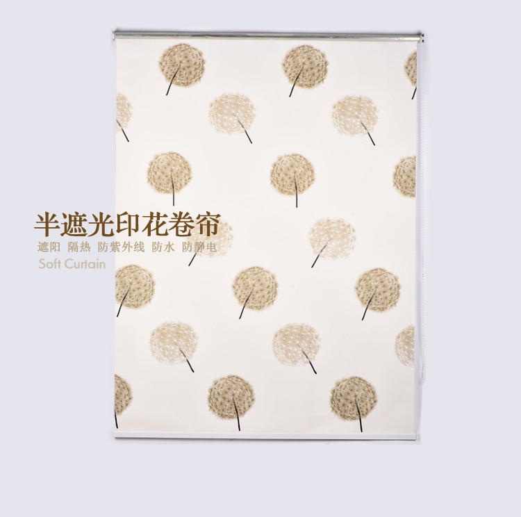 特价定做卧室彩画半遮光卷帘 遮光工程印花卷帘 卫生间阳台窗帘在类目 居家布艺, 窗帘门帘及配件, 卷帘中 - 来自Buy2taobao.com提供专业的淘宝代购服务