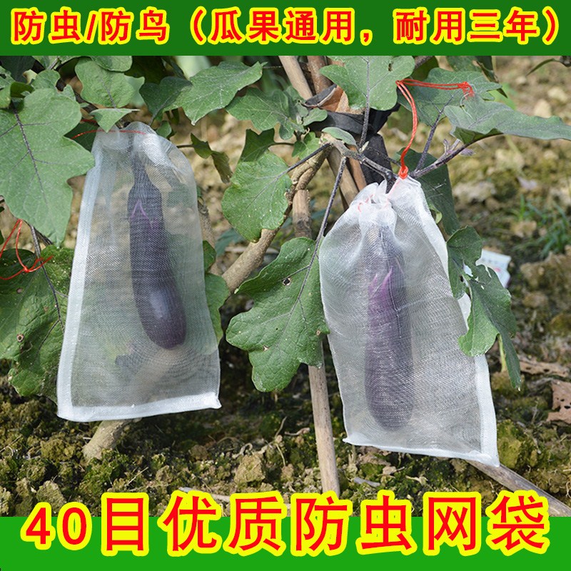 Melon and fruit fruit Fruits and vegetables Fruits and vegetables Filter bags Bitter Pest control fruit Bird Netbag Fruit bag household Pear baggingin the Flower delivery/Flowers simulation/Plants gardening , Gardening supplies , Other Garden Supplies category - from Buy2taobao.com to provide professional Taobao agent buy service