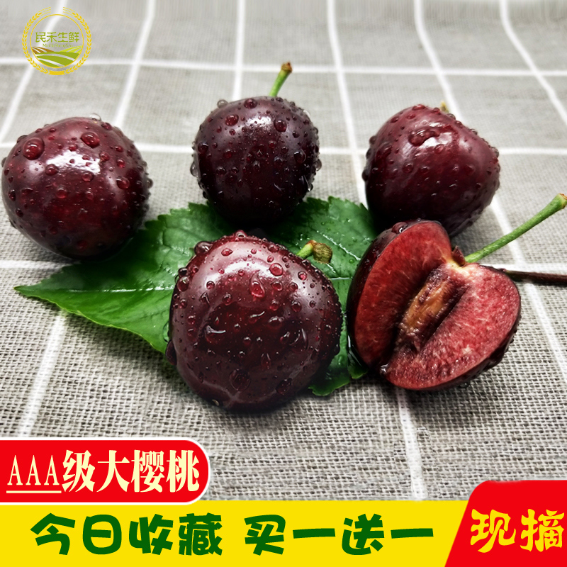 樱桃山东大樱桃5斤烟台大樱桃美早斤新鲜水果车厘子5A特级大果|msdalam kategori daging perikanan/Buah-buahan segar dan sayur-sayuran/dimasak, buah-buahan segar, ceri/ceri - dari Buy2taobao.com untuk memberikan perkhidmatan ejen Taobao profesional membeli