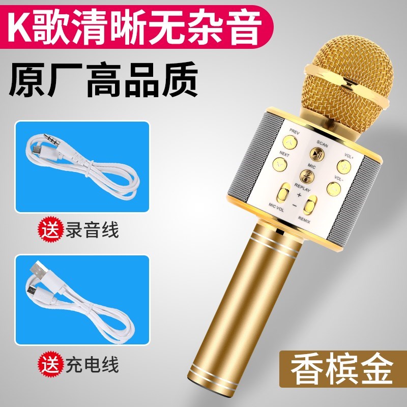 隨身舞藍牙無線擴音器電台天籁手持式廣場話筒麥克風講課小孩自帶在類目 影音電器, 麥克風/話筒中 - 來自Buy2taobao.com提供專業的淘寶代購服務