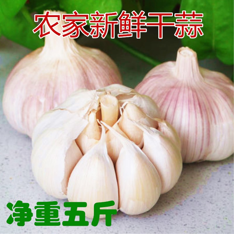 山东干蒜头新鲜农家自种大蒜紫皮蒜新鲜干蒜头5斤包邮在类目 水产肉类/新鲜蔬果/熟食, 新鲜蔬菜/蔬菜制品, 大蒜中 - 来自Buy2taobao.com提供专业的淘宝代购服务