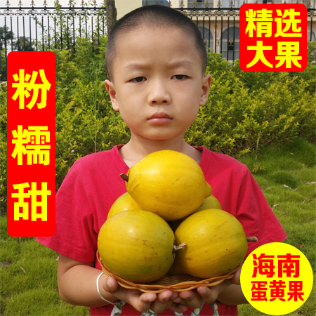 海南蛋黄果三亚水果云南鸡蛋果大果狮头果当季新鲜水果包邮五斤装在类目 水产肉类/新鲜蔬果/熟食, 新鲜水果, 其它中 - 来自Buy2taobao.com提供专业的淘宝代购服务