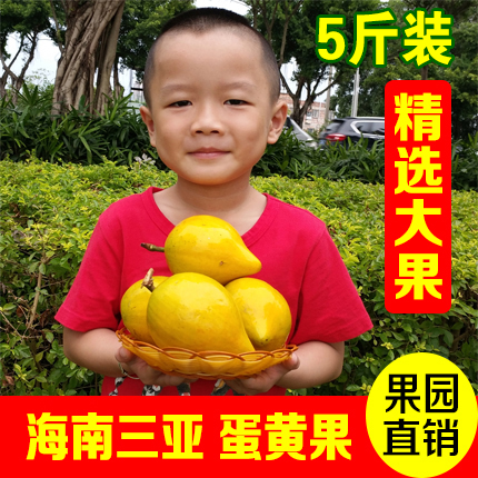 海南三亚鸡蛋果蛋黄果新鲜包邮狮头果云南旦黄果当季水果现摘五斤在类目 水产肉类/新鲜蔬果/熟食, 新鲜水果, 其它中 - 来自Buy2taobao.com提供专业的淘宝代购服务