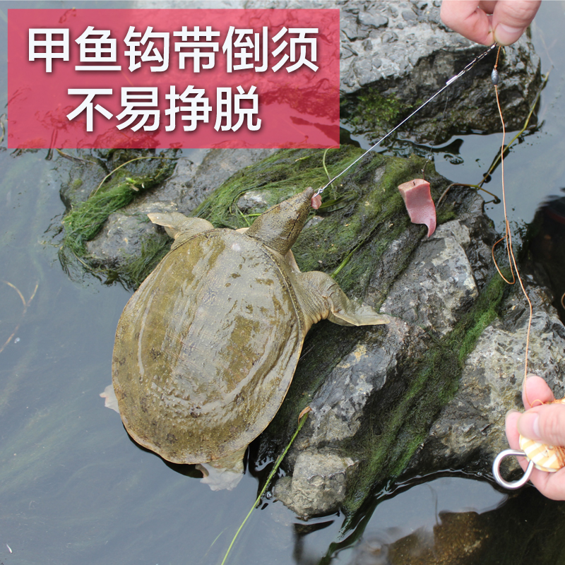 甲鱼钩套装黄刺鱼王八钩成品钓甲鱼鳖鲶鱼黑鱼地插线组成品双钩|ruв категории открытый/альпинизм/в поход/Поездки товаров, Рыбалка оборудования, крючок - от Buy2taobao.com для оказания профессиональной услуги покупки агента Taobao