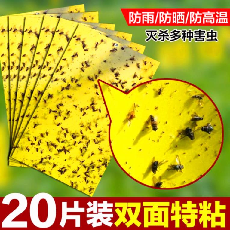 实蝇粘蝇虫包邮大棚粘虫板。诱捕器户外花圃黄板小飞虫菜园沾果蝇|ruв категории доставка цветов/цветок моделирования/растения садоводства, садовых принадлежностей, других садовых принадлежностей - от Buy2taobao.com для оказания профессиональной услуги покупки агента Taobao