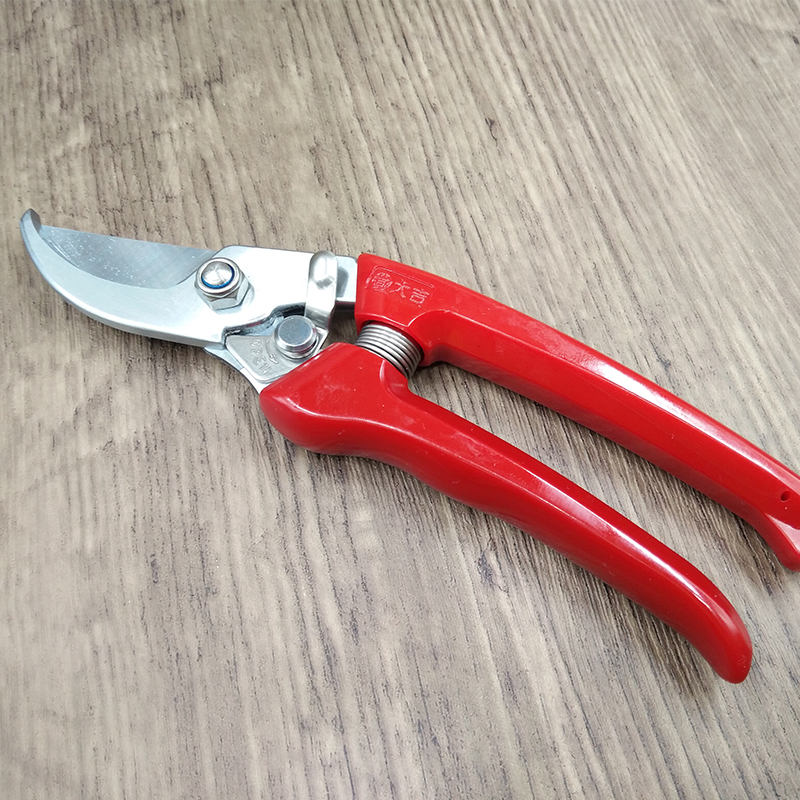 Genuine. Gardening pruning scissors Branches scissors Flower and fruit scissors Imported Steel DJ-187in the Home Daily , Home Hardware Tools , Scissors/Hairdressing scissors/Gardening shears , Gardening scissors category - from Buy2taobao.com to provide professional Taobao agent buy service
