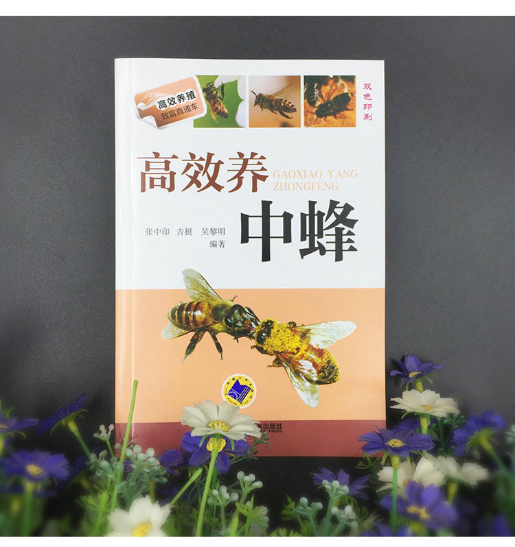 高效养殖中蜂书籍中华蜂土蜂中华蜜蜂饲养技术养殖养蜂技术养蜂书|msdalam kategori makanan berkhasiat tradisional, Bee, 养蜂工具 - dari Buy2taobao.com untuk memberikan perkhidmatan ejen Taobao profesional membeli