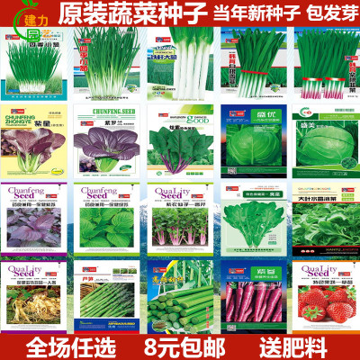 蔬菜种子四季播阳台农家田园易种菜庭院春夏秋套餐盆栽香菜籽包邮