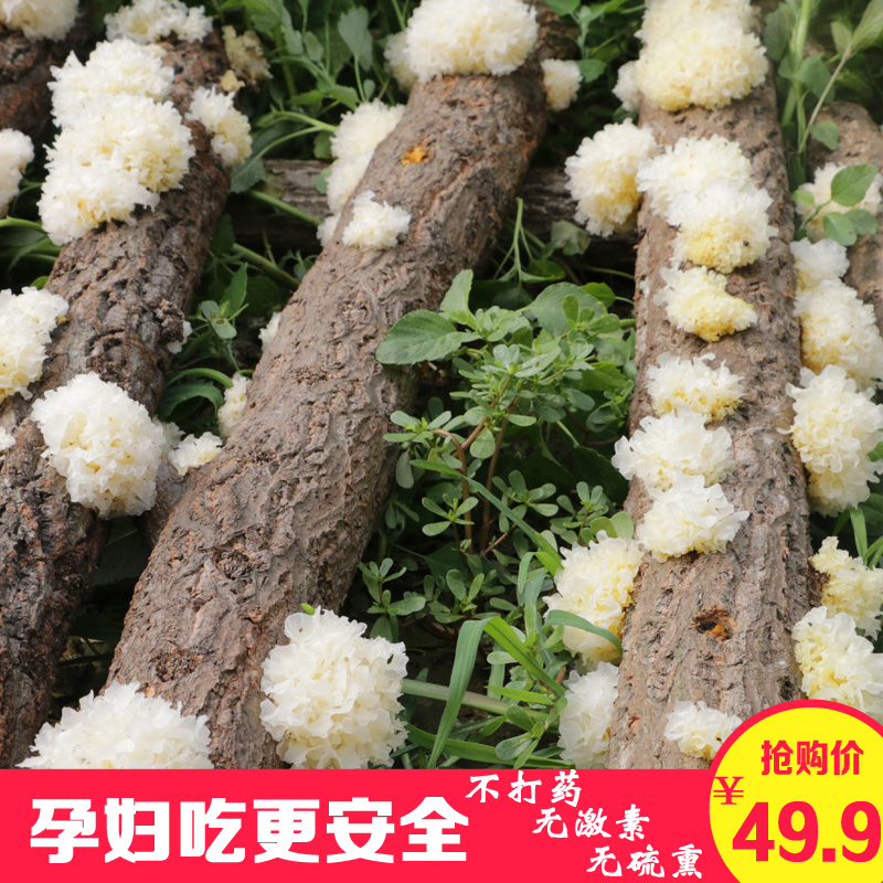 Five. Nongshim fresh Super wild Basswood Tremella dried food Tremella Fungus wild Furuta Tongjiang Tremellain the Agri rice/Dried foods/Condiment , Dried foods/Meat Dry , Dry/Native , Tremella/Tremella category - from Buy2taobao.com to provide professional Taobao agent buy service