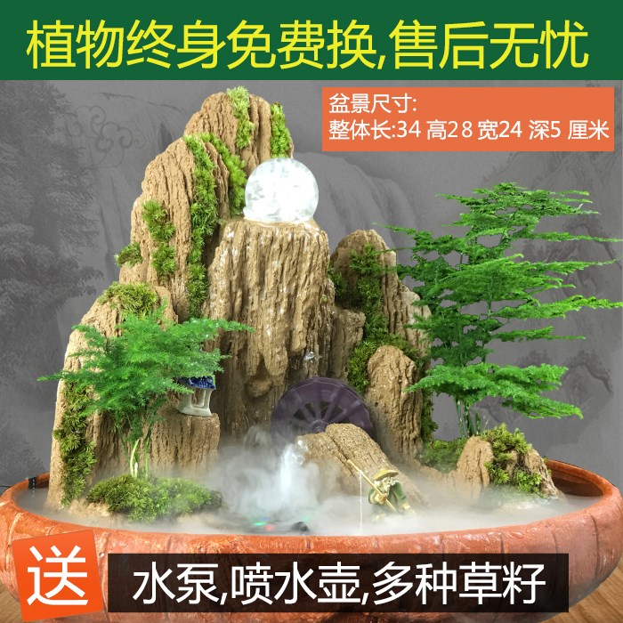 吸水石植物上水石假山草草种子盆景苔藓绿植种子假山草文竹风水轮在类目 鲜花速递/花卉仿真/绿植园艺, 园艺用品, 其它园艺用品中 - 来自Buy2taobao.com提供专业的淘宝代购服务
