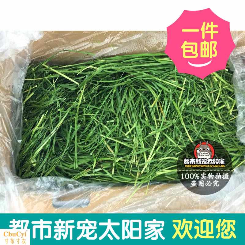 18年新草 高纤维楠提 提摩西草 南提提草 1KG毛重 全国|msdalam kategori haiwan peliharaan/makanan haiwan dan bekalan, hamsters kelas haiwan peliharaan dan lain-lain kecil, Feed/makanan ringan - dari Buy2taobao.com untuk memberikan perkhidmatan ejen Taobao profesional membeli