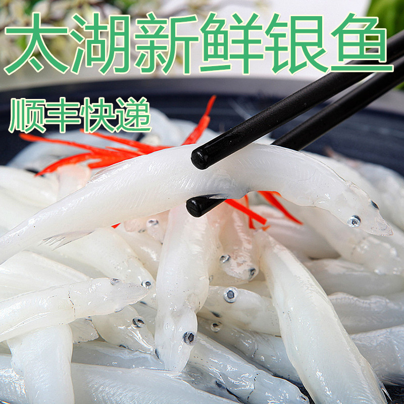 太湖新鮮銀魚 太湖野生銀魚在類目 水產肉類/新鮮蔬果/熟食, 海鮮/水產品/製品, 淡水魚類中 - 來自Buy2taobao.com提供專業的淘寶代購服務
