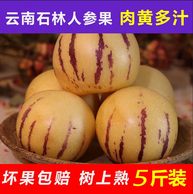 云南昆明应季新鲜水果石林人参果小果圆果多汁人生果5斤清甜爽口在类目 水产肉类/新鲜蔬果/熟食, 新鲜水果, 其它中 - 来自Buy2taobao.com提供专业的淘宝代购服务