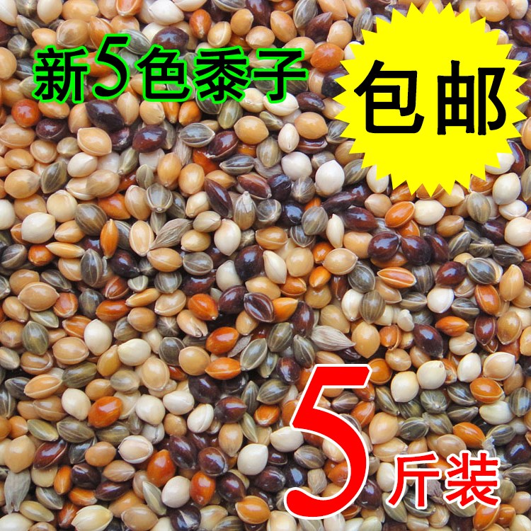 SMEs parrot Big head Tiger Yellow peach peony Cockatiel feed Bird food blend 5 cattiesin the Pet/Pet food and supplies , Birds and supplies , Bird food category - from Buy2taobao.com to provide professional Taobao agent buy service