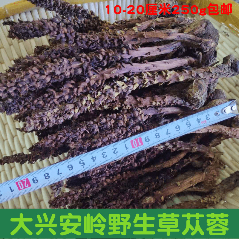 野生草苁蓉不老草250g大兴安岭不老草山苞米列当泡酒料煲汤料包邮|ruв категории традиционные питательный пища, другие традиционные тоник, Bulao Херб - от Buy2taobao.com для оказания профессиональной услуги покупки агента Taobao